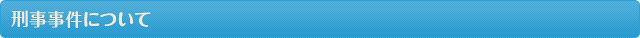 刑事事件について
