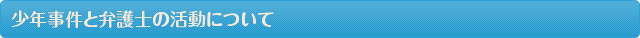 少年事件と弁護士の活動について